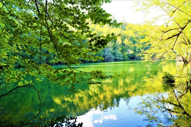 Yedigöller Günübirlik Turu